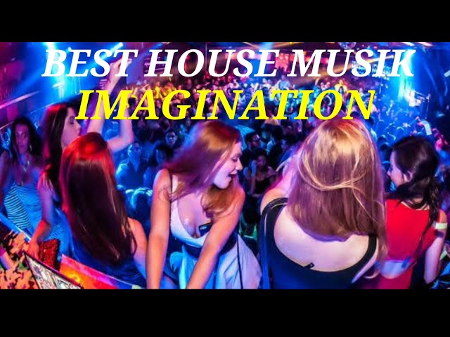 HOUSE MUSIK - REMIX - IMAGINATION class=