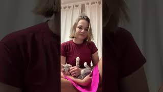 Periscope Baby Girl Bigo Live