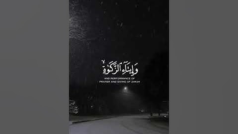 (في بيوت أذن الله أن ترفع ويذكر فيها اسمه) تلاوة خاشعة تريح القلب ماهر المعيقلي ❤️ | Quran Kareem