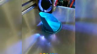 Bota walker para mascotas