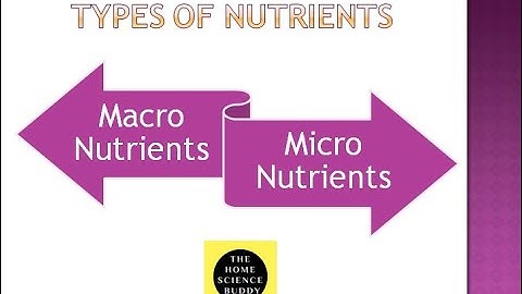Nutrients & their classification | NTA UGC NET/JRF Home Science | Nutrition & Dietetics