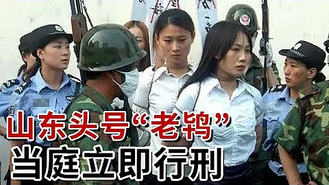 正能量｜山东头号“老鸨”当庭行刑！当街绑架美女 强逼其坐台“陪酒”？肆意作案数起，受害者却无一敢报警！ - 天天要闻