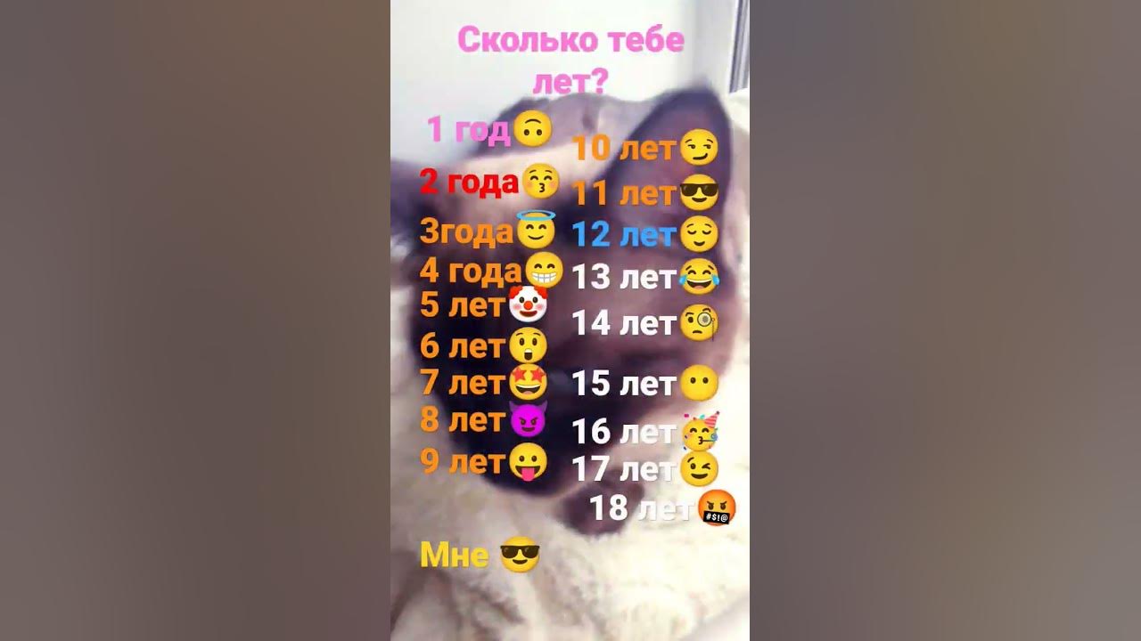 Как понять на сколько лет я выгляжу Приложение FaceApp "На сколько лет я выгляжу. Какая у меня красота в процент