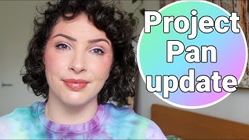 Second last update - Project Pan November 2025