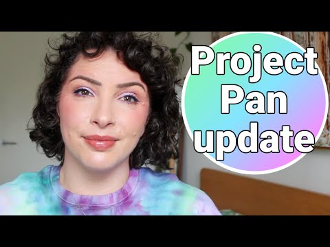 Project Pan Update November 2025