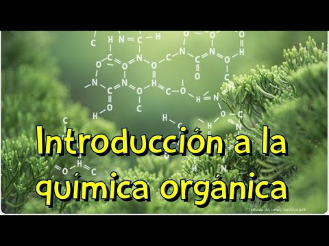 ¿Es La Química Orgánica Una Buena Carrera?