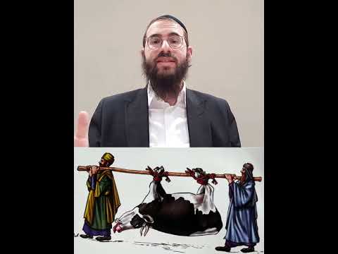 Beitzah Chapter 3 - Youtube