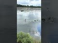 mancing yang tidak seperti umumnya #mancingceria #tranding #mancingmania