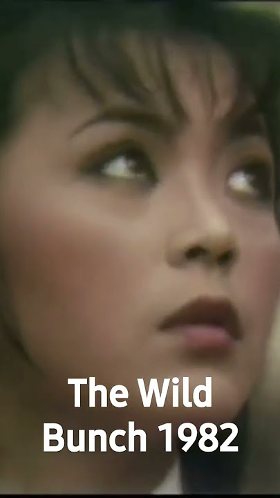 The Wild Bunch 1982