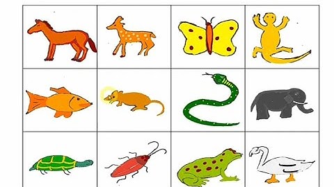 lesson 7 evs , (Jantu--ik jan-pehchan), page 41-42 ,class 3 (Meri dunia PSEB,)