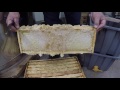 Extracting Honey, The Basics