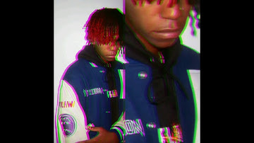 DC The Don "1995" combined snippets