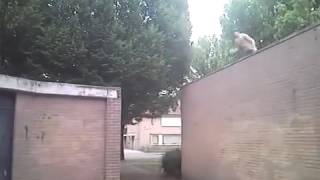 EPIC 4 Meter Wall Jump!
