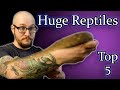 Top 5 HUGE Pet Reptiles | The Best BIG Reptiles You Can Own