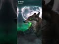 خلفيات تخبل تجنن اسود روعه