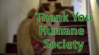 Nevada Humane Society In Partnership With Wwvc