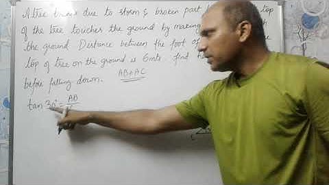 a tree breaks due to storm and broken part bends so that top of the tree touches the ground.....