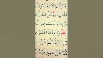 سورة البقرة الأية 217 القارئ مشاري راشد العفاسي
