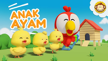 Anak Ayam | Tek Kotek🐤 Lagu Anak Anak | Lagu Anak Indonesia Balita