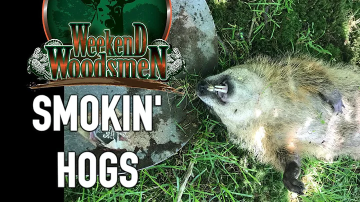 Ground Hog/Woodchuck Shoot | Bow and Gun Kills