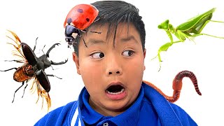 Alex y Wendy Aprenden Sobre Bichos e Insectos | Aprendizaje Divertido Para Niños