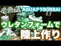 苔盆栽アクアテラリウム#2 ウレタンフォームで陸地部形成 【AQUAテラBONSAI~コラ盆栽~】