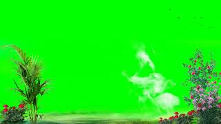 Nature Flowers Green Screen Background Video Flower Background Video