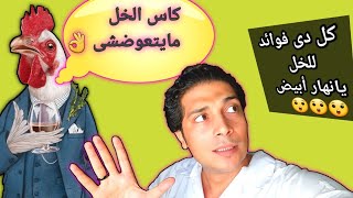 أهمية الاحماض العضوية فى الدواجن(Acidifier in chicken)