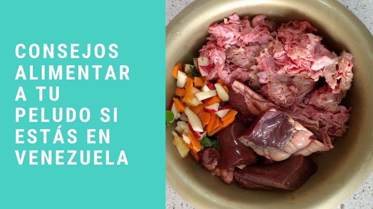 Consejos para alimentar a tu peludo si estás en Venezuela