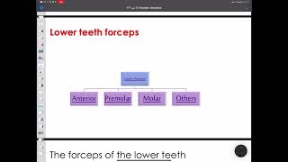 Lower teeth forceps