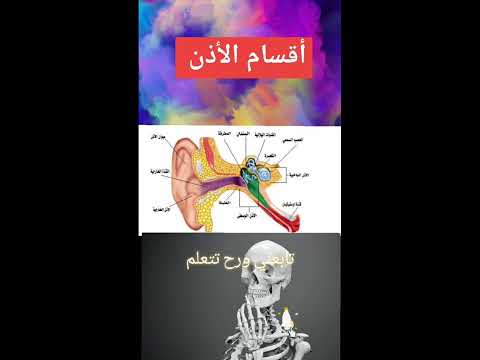 اقسام الاذن 