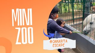 Hidden gem untuk tempat main anak - Rumah perubahan Jakarta Escape
