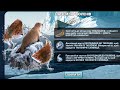 Fishing clash "На землі тюленів"+ квест "Експедиція до тюленів" початок, клан "ДОМИНИАНА" 28.02.26.