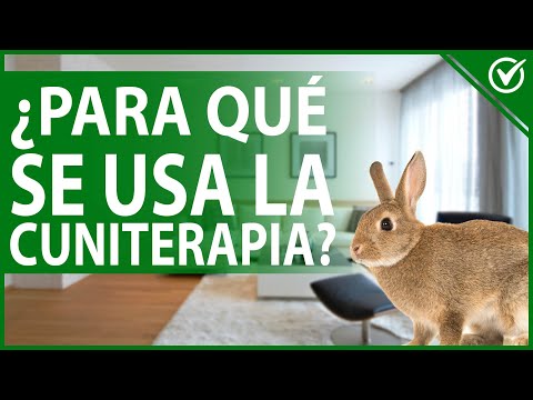 🐇 Para Qué Se Usa la Cuniterapia la Explicación Más Fácil y Sencilla 🐇
