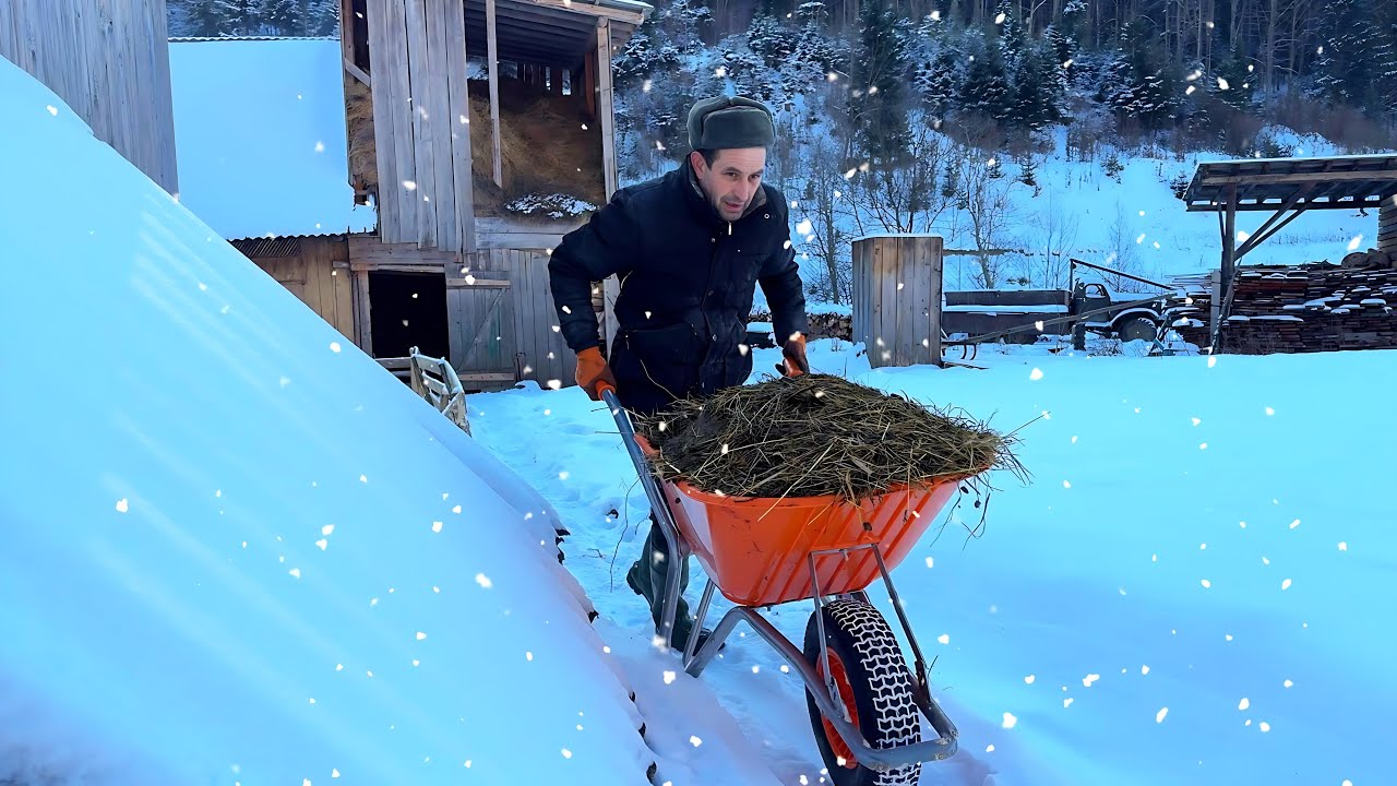 Карпатская зима - работа в холоде в горной деревне