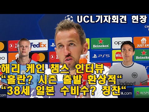 38세 <strong>하세베</strong>? 칭찬해야죠&amp;quot;