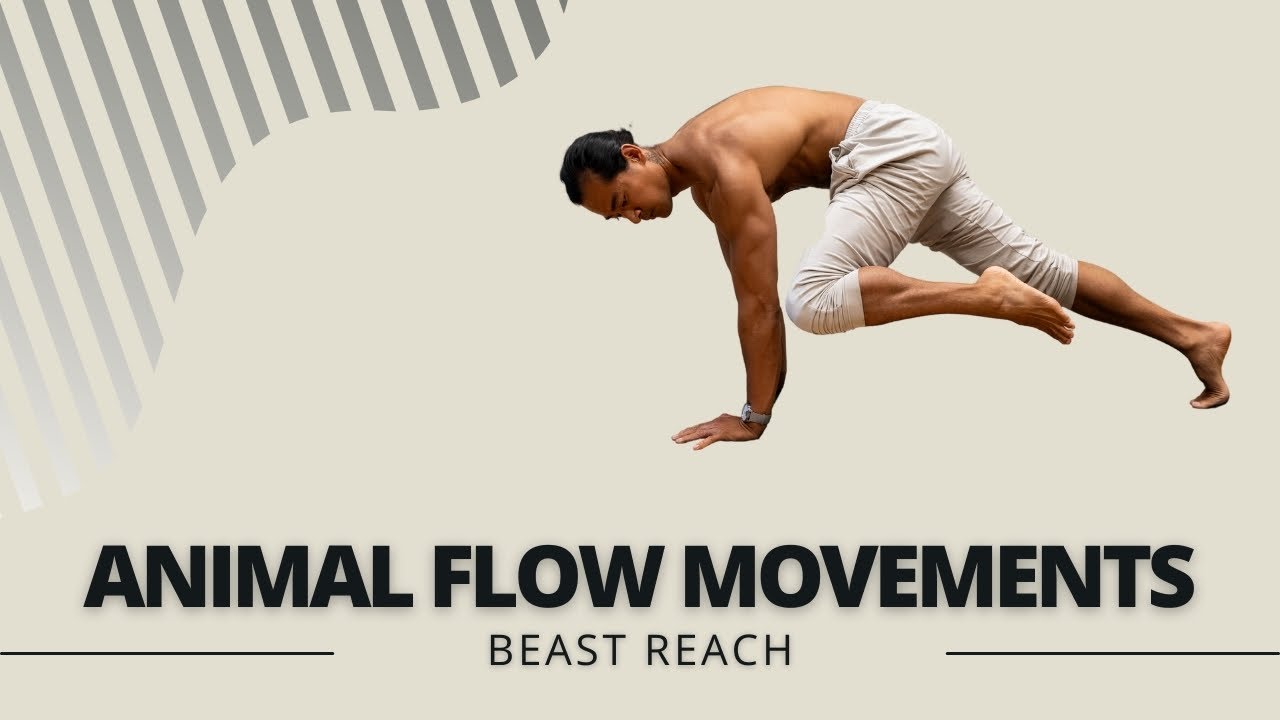 Beast Reach Tutorial | Learn Animal Flow | Primal Movements ...