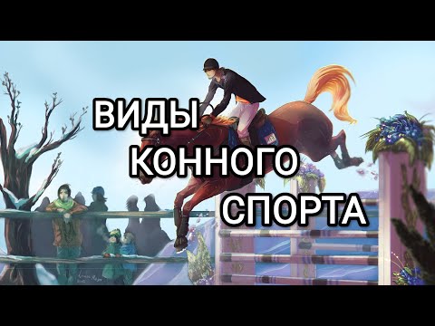 конный спорт и верховая езда как искусство|другие виды конного спорта|лошади