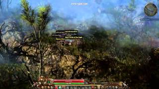 Grim Dawn alpha auto pickup gold bug