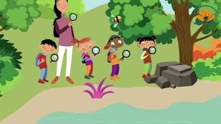 Beehive 1 - Unit 4 Lesson 3 Outdoors!