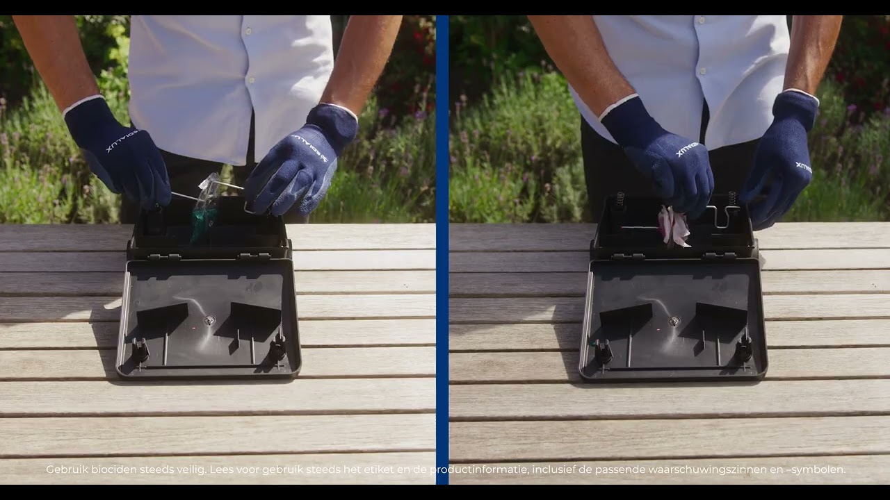 Last van Ratten & Muizen?