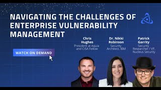 Navigating the Challenges of Enterprise Vulnerability Management