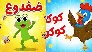 اغنية أنا الديك ياكتاكيت و واك واك انا ضفدوع وغيرها من ضفدوع للأطفال سمعها