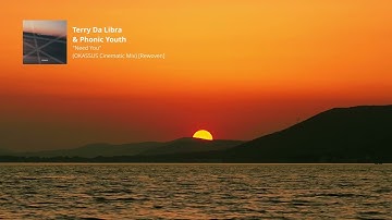 Terry Da Libra & Phonic Youth - Need You (OKASSUS Cinematic Mix) [Rewoven]