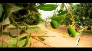 Kamli Na La Akhian, Shahzada Asif, New Punjabi Seraiki Culture Song