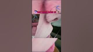 Robot Twins Have Faces I was expecting a T-800 😁😂