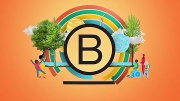 The B-Corp Movement | B Lab Institutional Video [EN]