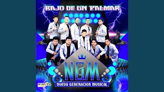 Video thumbnail of "N G M Nueva Generación Musical - El Koctelito"