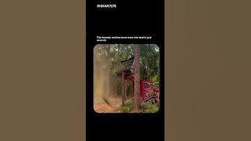 This forestry mulcher turns trees into dust in just second