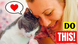 10 Ways to Tell Your Cat YOU LOVE THEM (in a Way THEY UNDERSTAND)